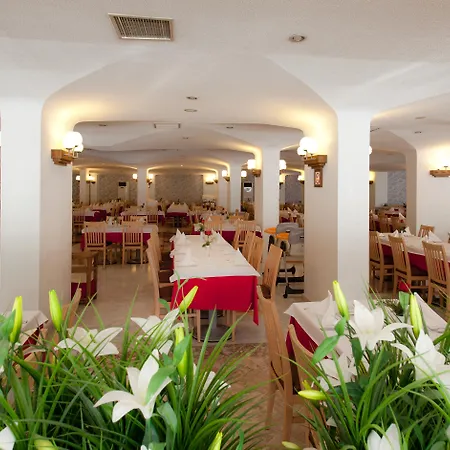 منتجع Febeach
