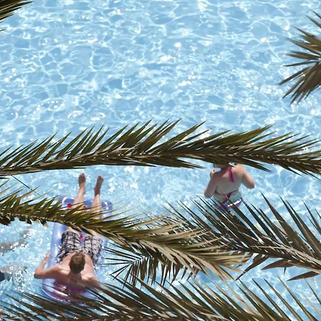 Febeach سيدي